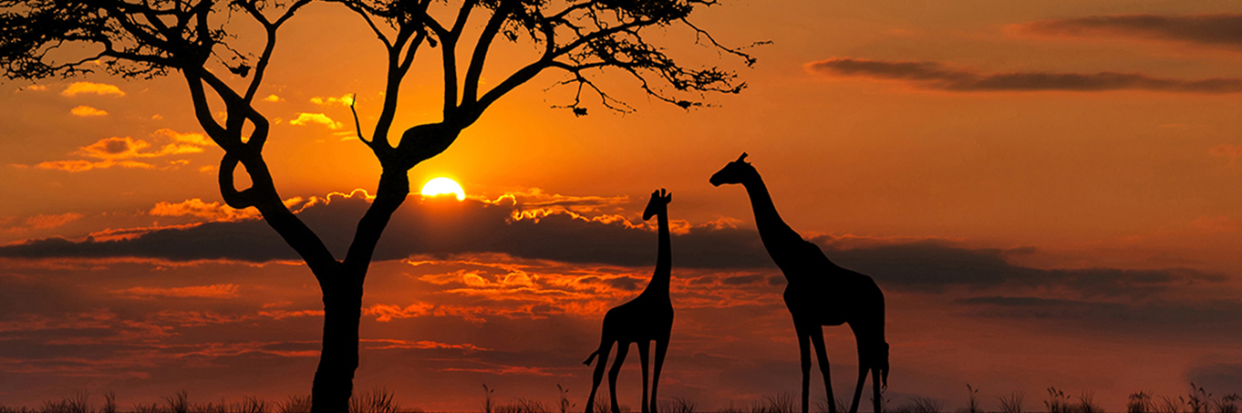 San Diego, California, USA downtown skyline.